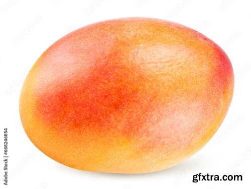 Mango Isolated On A White Background 2 20xPNG