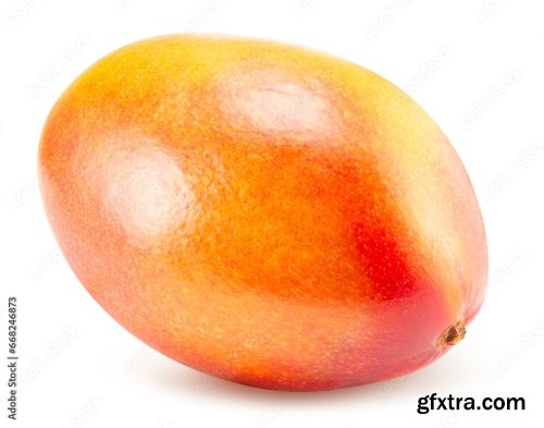 Mango Isolated On A White Background 2 20xPNG