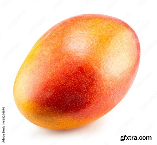 Mango Isolated On A White Background 2 20xPNG