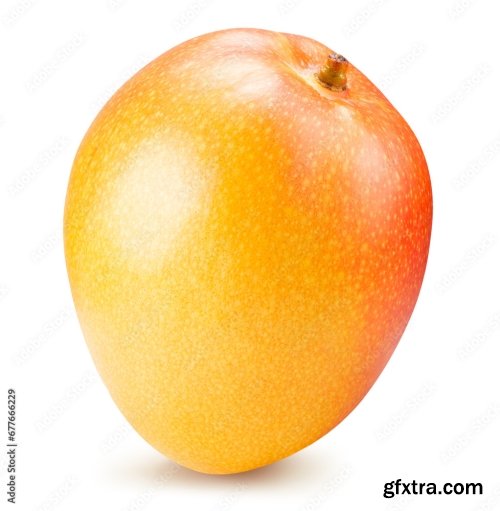 Mango Isolated On A White Background 2 20xPNG