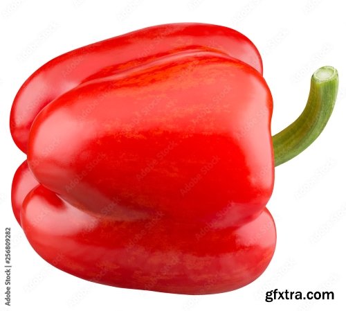 Red Pepper Isolated On A White Background 4 16xJPEG