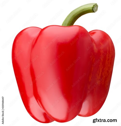 Red Pepper Isolated On A White Background 4 16xJPEG