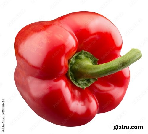 Red Pepper Isolated On A White Background 4 16xJPEG