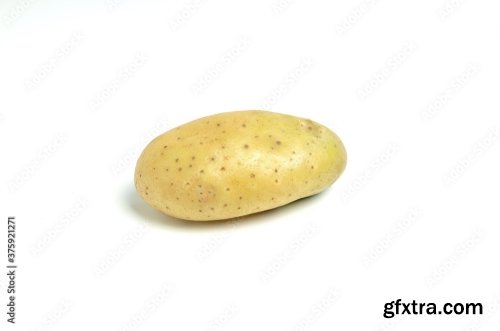 New Potato Isolated On White Background 10xJPEG