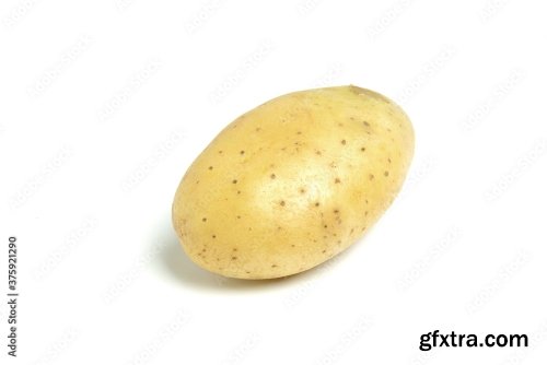 New Potato Isolated On White Background 10xJPEG