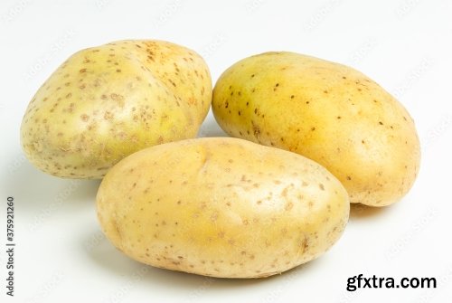 New Potato Isolated On White Background 10xJPEG