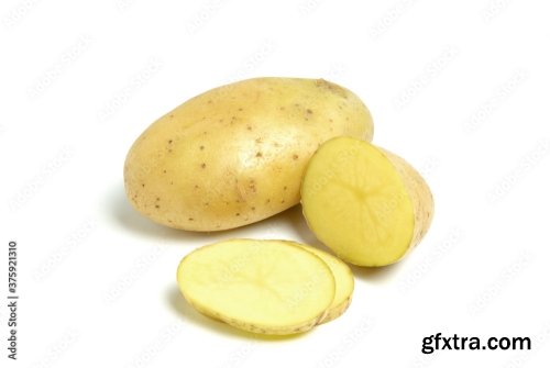 New Potato Isolated On White Background 10xJPEG