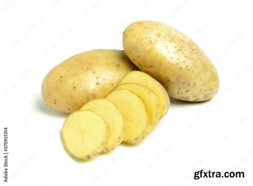 New Potato Isolated On White Background 10xJPEG