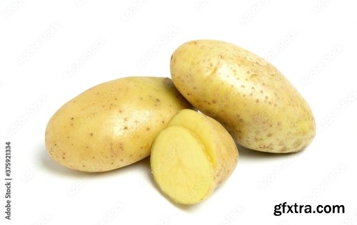 New Potato Isolated On White Background 10xJPEG