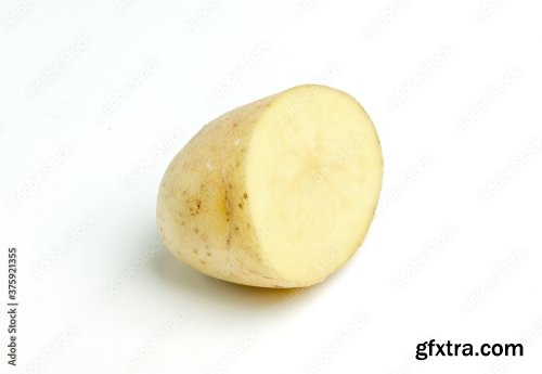 New Potato Isolated On White Background 10xJPEG