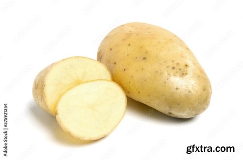 New Potato Isolated On White Background 10xJPEG