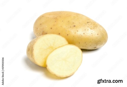 New Potato Isolated On White Background 10xJPEG