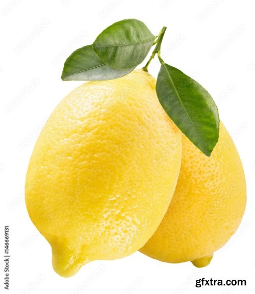 Lemons Isolated On A White Background 24xJPEG