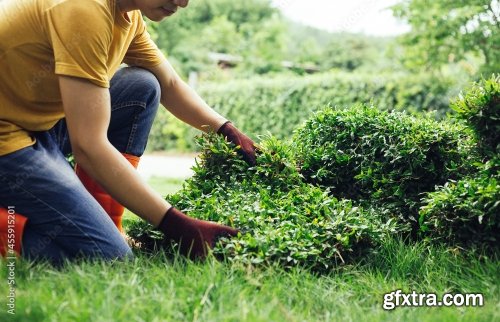 A Young Man Is Gardening Preparing Grass Carpet 4xJPEG