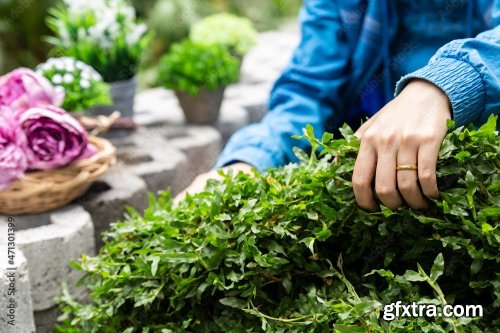 A Young Man Is Gardening Preparing Grass Carpet 4xJPEG