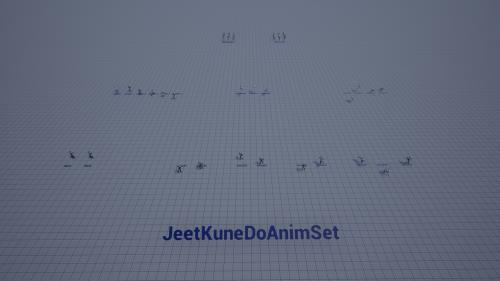 UnrealEngine - JeetKuneDo AnimSet