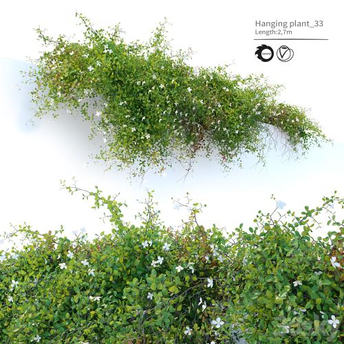 Hanging plant_33