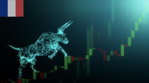 Udemy - Price action stratégies pour le Trading algorithmique