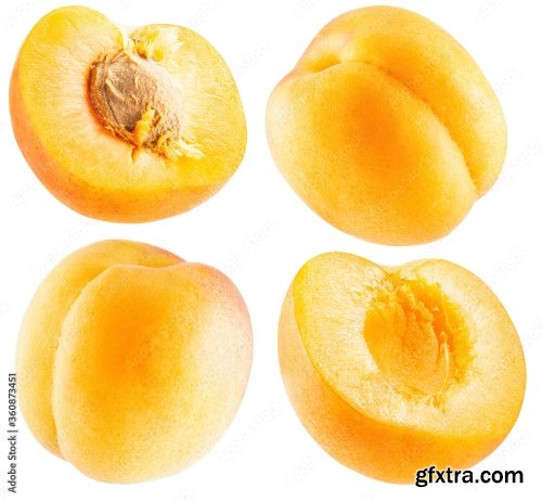 Apricot Isolated On A White Background 23xJPEG