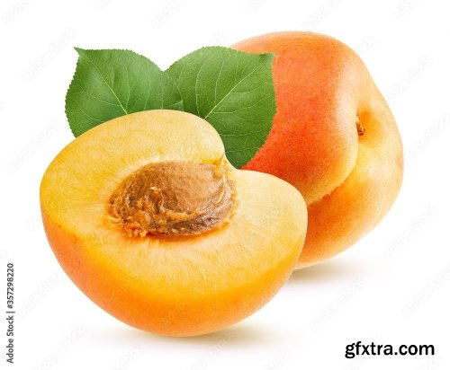 Apricot Isolated On A White Background 23xJPEG