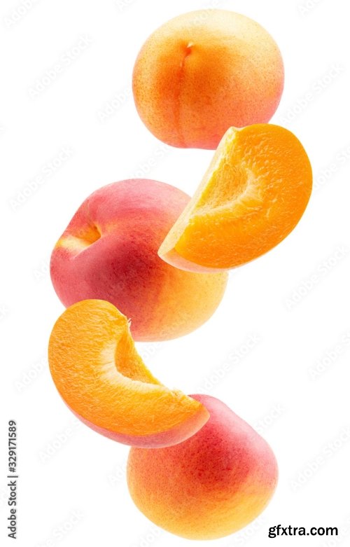 Apricot Isolated On A White Background 23xJPEG