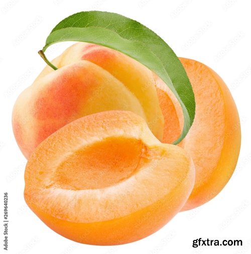 Apricot Isolated On A White Background 23xJPEG