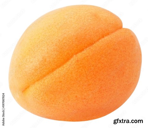 Apricot Isolated On A White Background 23xJPEG