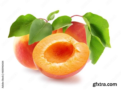 Apricot Isolated On A White Background 23xJPEG