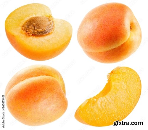 Apricot Isolated On A White Background 23xJPEG