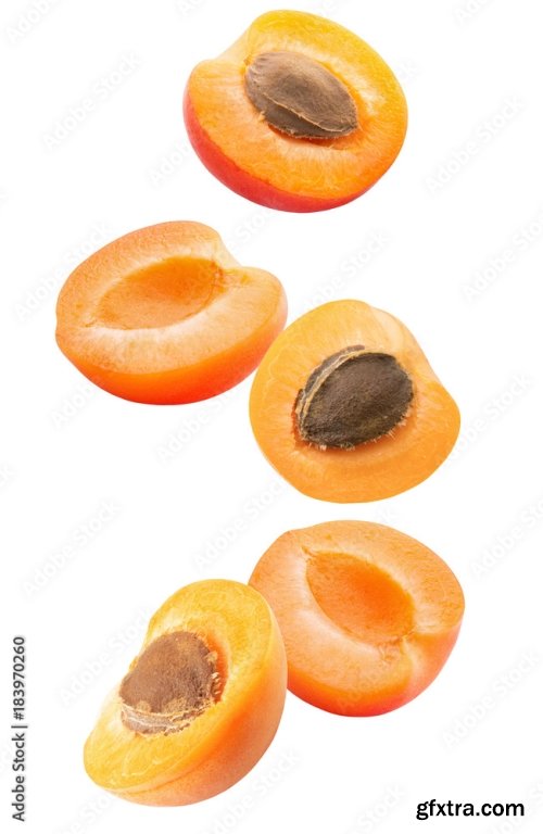 Apricot Isolated On A White Background 23xJPEG