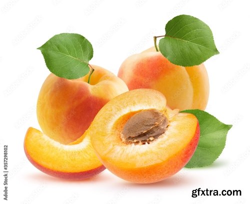 Apricot Isolated On A White Background 23xJPEG