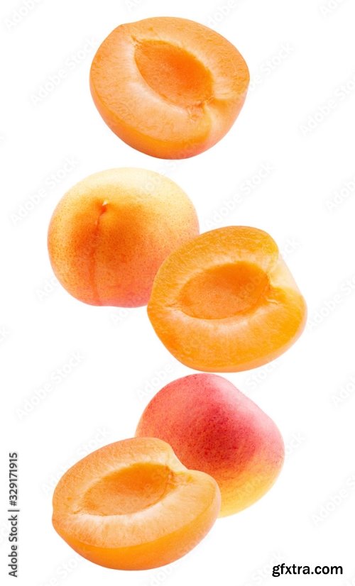 Apricot Isolated On A White Background 23xJPEG