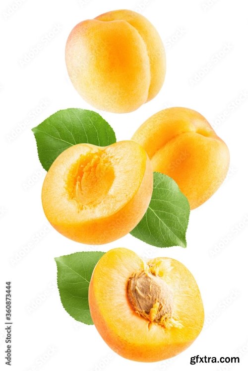 Apricot Isolated On A White Background 23xJPEG