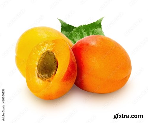 Apricot Isolated On A White Background 23xJPEG