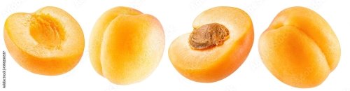 Apricot Isolated On A White Background 23xJPEG