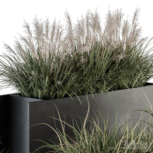 Outdoor Plant Set 288 - Grass in Plant Box