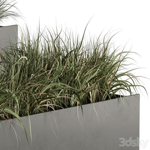 Outdoor Plant Set 288 - Grass in Plant Box