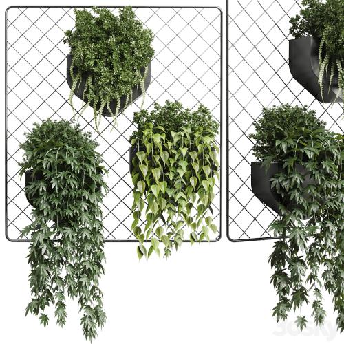 wall plant - hanging plants collection Indoor plant 293 metal dirt vase