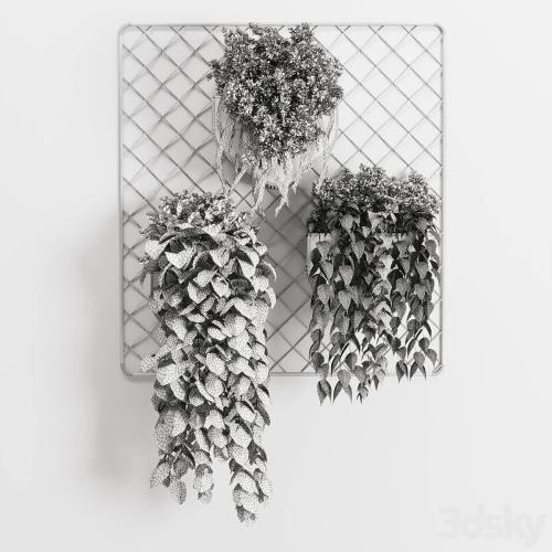 wall plant - hanging plants collection Indoor plant 293 metal dirt vase