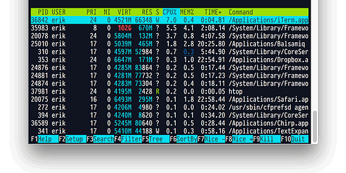 Essential PragmataPro 2xTTF