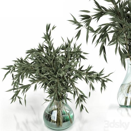 Green Branch in vase - Bouquet 003