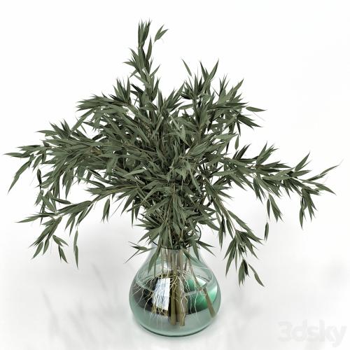 Green Branch in vase - Bouquet 003