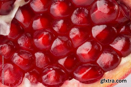 Pomegranate Isolated On A White Background 2 19xJPEG