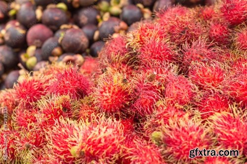 Red Rambutan Background 5xJPEG