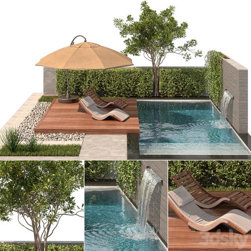 Backyard with Pool & plants & Furniture