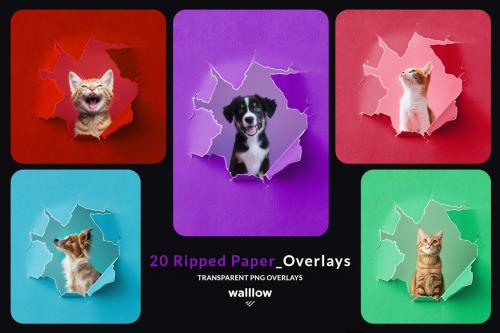 Ripped paper png transparent photoshop overlays