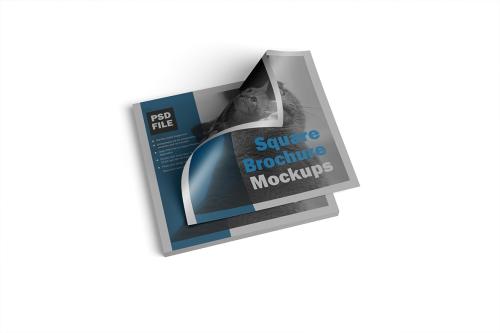 Square Brochure Mockups