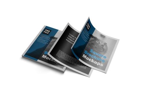 Square Brochure Mockups