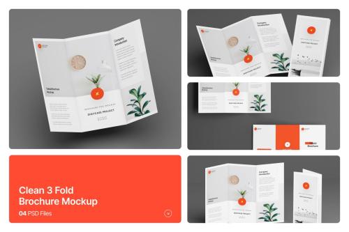 Clean 3 Fold Brochure Mockup