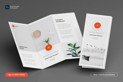 Clean 3 Fold Brochure Mockup